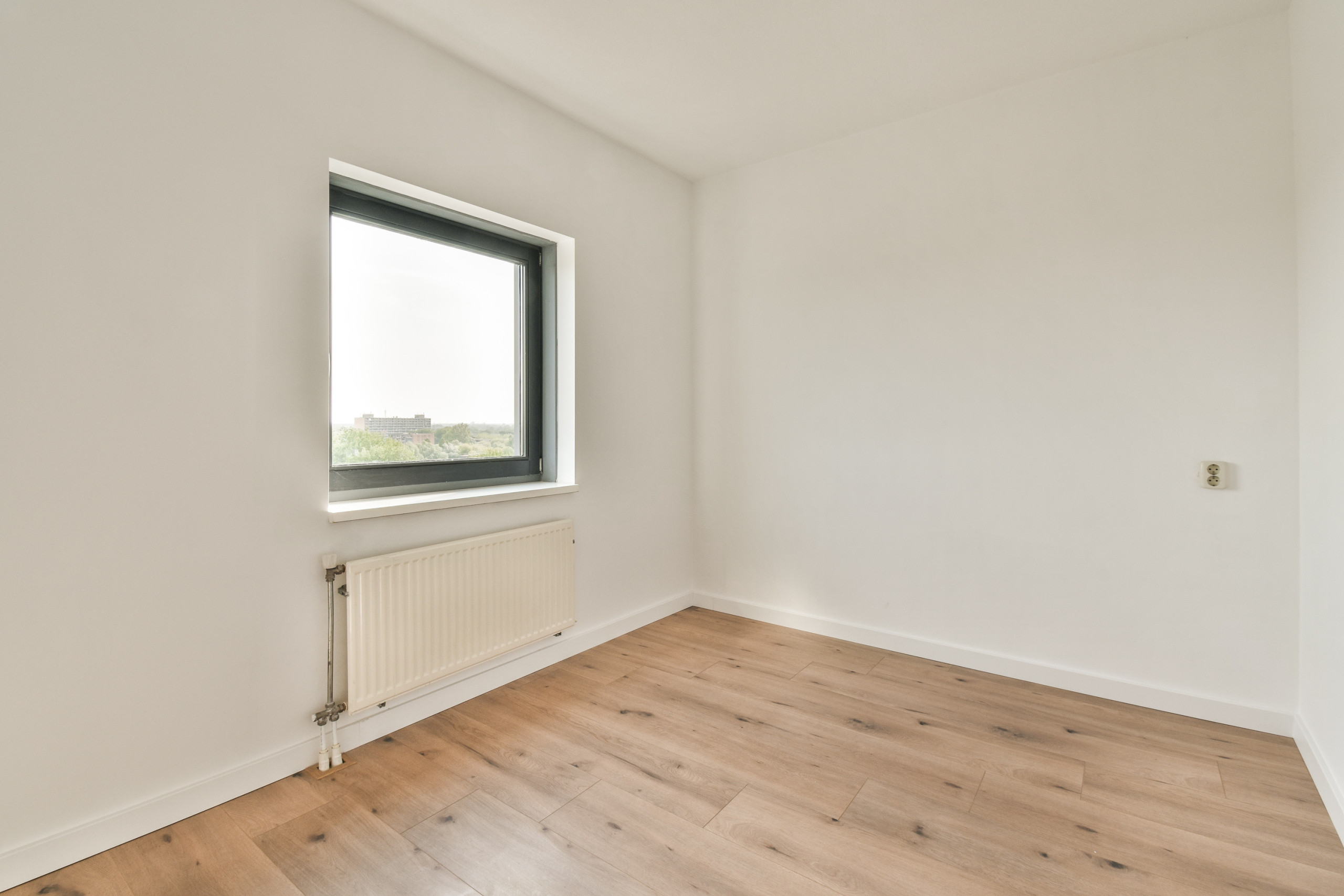 homes for rent on Zonnebaarsstraat 78